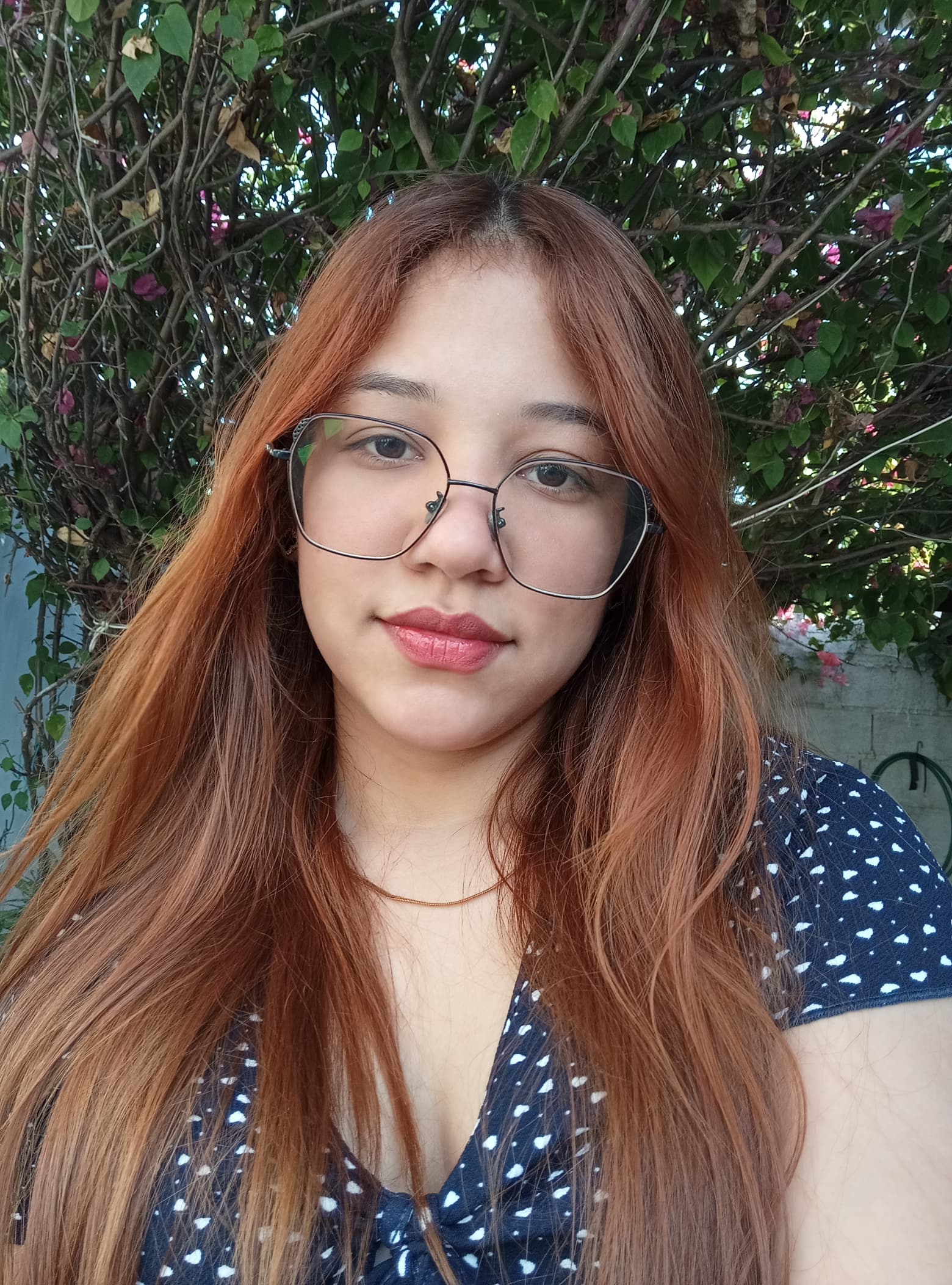 perfil